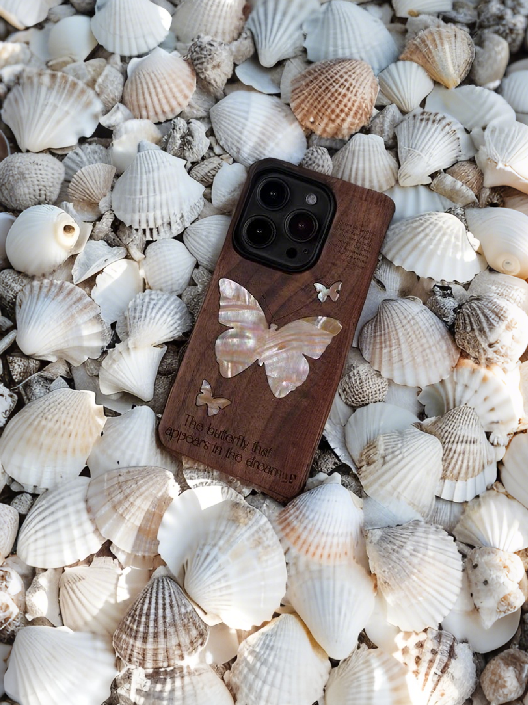 Butterfly Shell: Nature’s Elegance in Your Hands